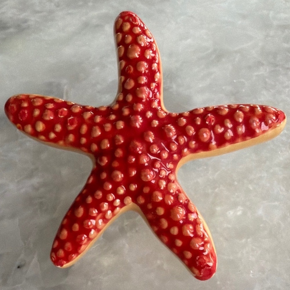 Nora Fleming Starfish Mini Charm A866 Red Ceramic Coastal Nautical Decor Insert